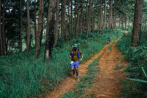 BIB: 
                            <button type="button" onclick="openModal(25753429)" class="btn btn-primary btn-sm float-right btn-popup" data-toggle="modal" data-target=".modal-high-quality">
                        <i class="fas fa-shopping-cart"></i> Add to Cart
                    </button>
                                            <button type="button" onclick="isThisMe(25753429, true)" class="btn btn-success btn-sm float-right btn-popup btn-isme hidden" data-toggle="tooltip" data-placement="bottom" title="นี่คือรูปของคุณใช่ไหม คลิกที่นี่เพื่อเอาเข้าอัลบั้ม">
                        <i class="fas fa-plus"></i> Add to album
                    </button>
                    <button type="button" onclick="isThisMe(25753429, false)" class="btn btn-warning btn-sm float-right btn-popup btn-isnotme hidden">
                        <i class="fas fa-ban"></i> Remove from album
                    </button>